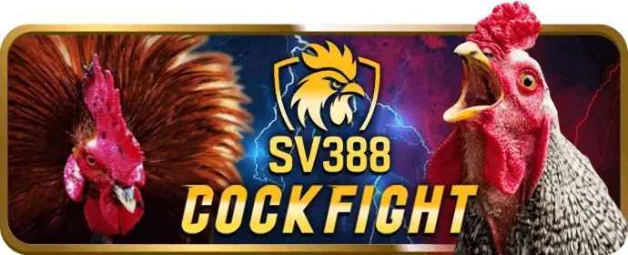 Biểu tượng Email Hỗ trợ ko66 win