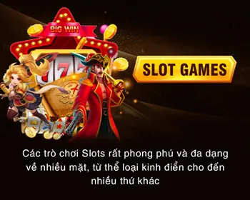 Kiểm tra lịch sử giao dịch và đặt cược